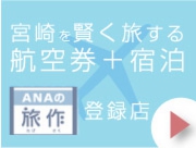 飛行機宿泊パック